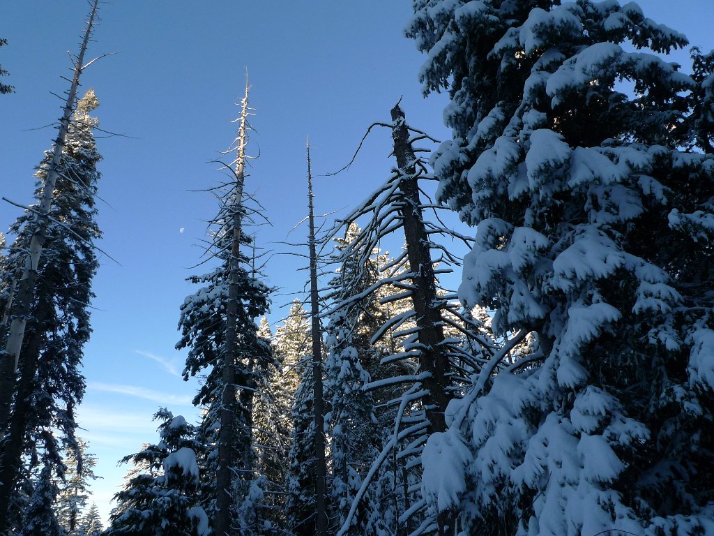Christmas2010 162.JPG